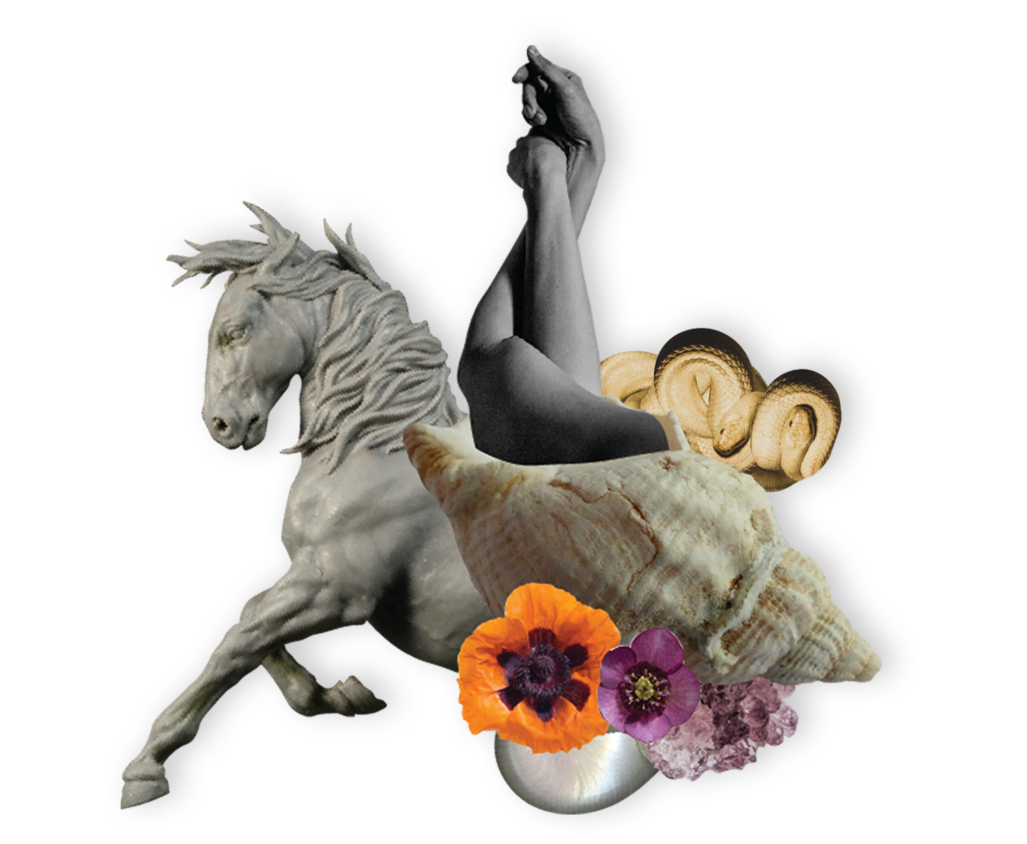 Ayol orgazmining konvulsiyalari Erotik porno slut qul qattiq becerdin tomonidan ustasi